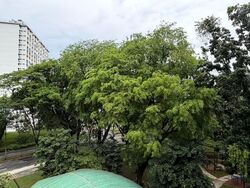 Blk 176 Boon Lay Green (Jurong West), HDB 3 Rooms #598188461